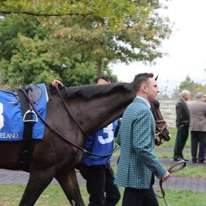 Meet your Posher, Jt